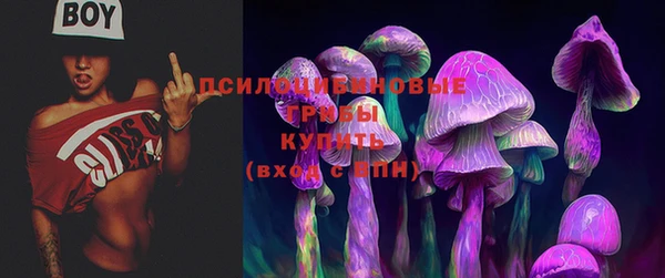 марки nbome Богданович