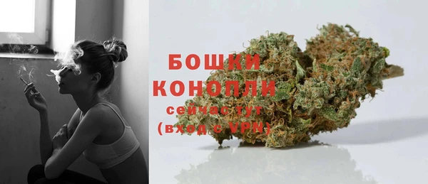 соль ск Богородск