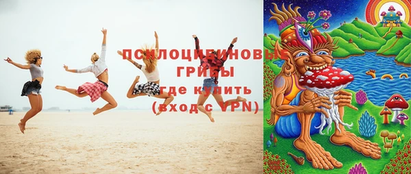марки nbome Богданович
